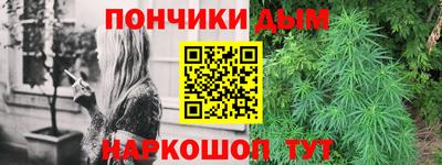 гидра Краснокаменск