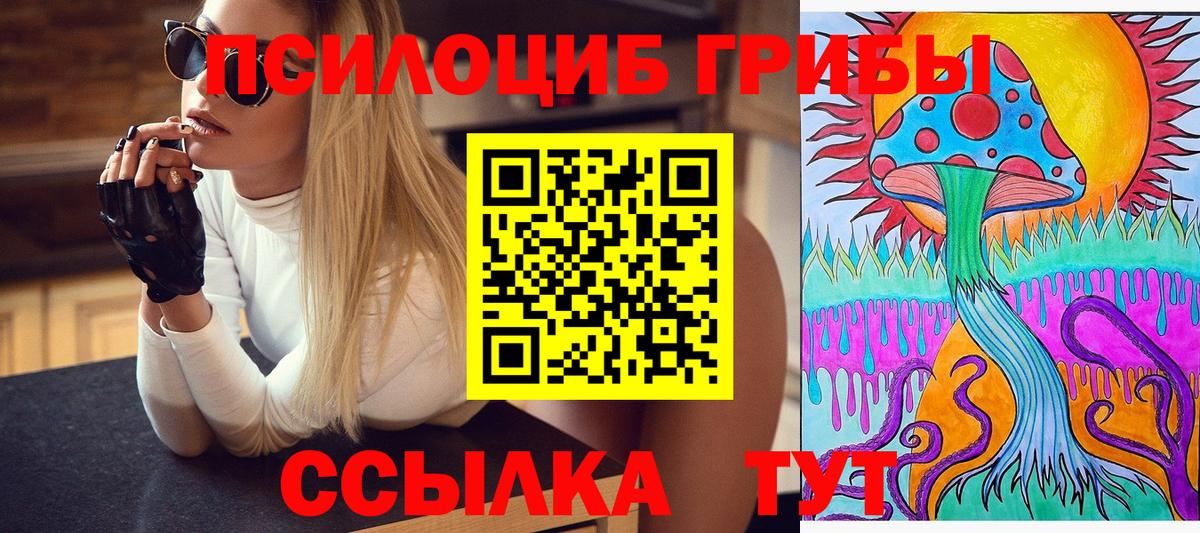 Гай  Псилоцибиновые грибы Psilocybine cubensis  Вход с VPN 