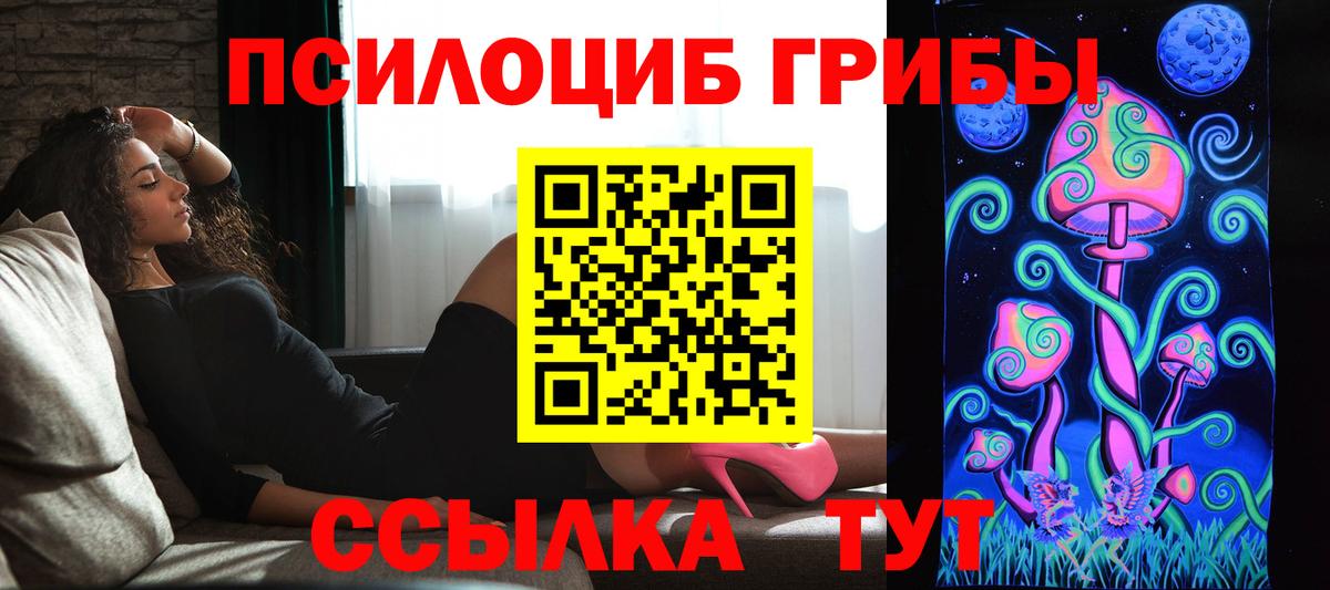 Галлюциногенные грибы Psilocybe Гай